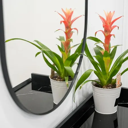 Guestready - Serene In *