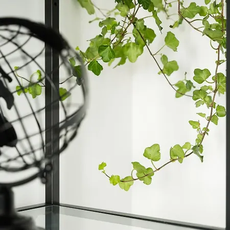 Apartment Guestready - Serene In