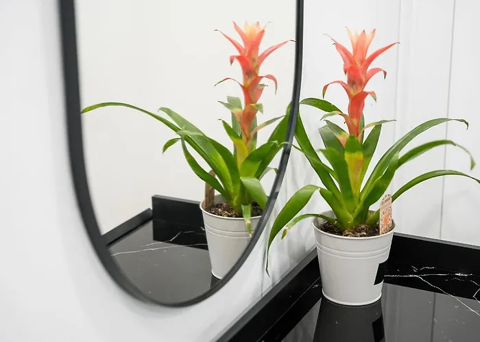 Guestready - Serene In *